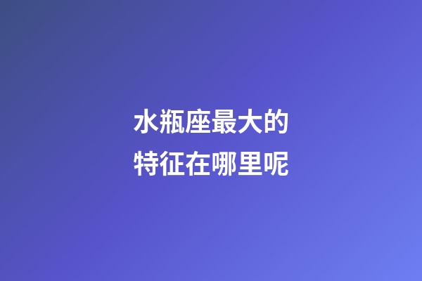 水瓶座最大的特征在哪里呢-第1张-星座运势-玄机派