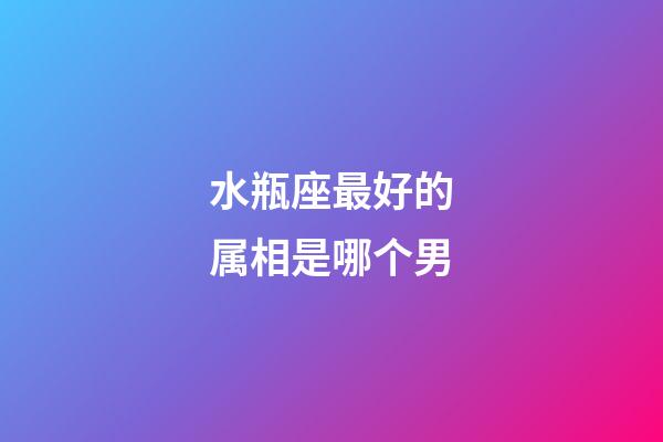 水瓶座最好的属相是哪个男-第1张-星座运势-玄机派