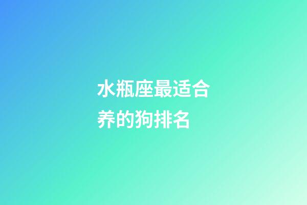 水瓶座最适合养的狗排名-第1张-星座运势-玄机派