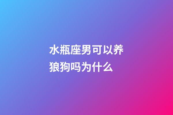 水瓶座男可以养狼狗吗为什么-第1张-星座运势-玄机派