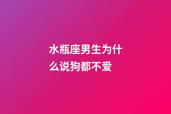 水瓶座男生为什么说狗都不爱-第1张-星座运势-玄机派