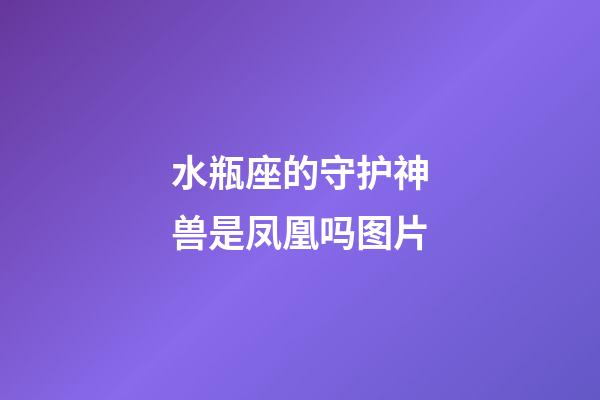 水瓶座的守护神兽是凤凰吗图片-第1张-星座运势-玄机派