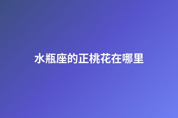 水瓶座的正桃花在哪里-第1张-星座运势-玄机派