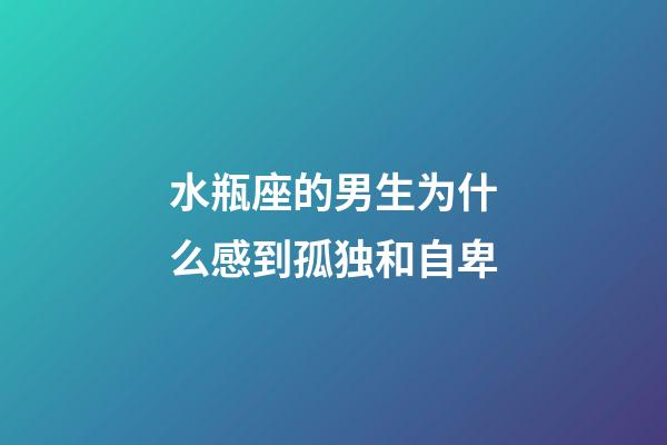 水瓶座的男生为什么感到孤独和自卑-第1张-星座运势-玄机派