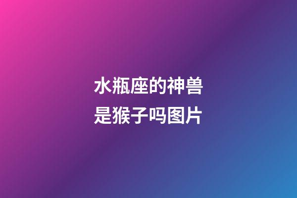 水瓶座的神兽是猴子吗图片-第1张-星座运势-玄机派