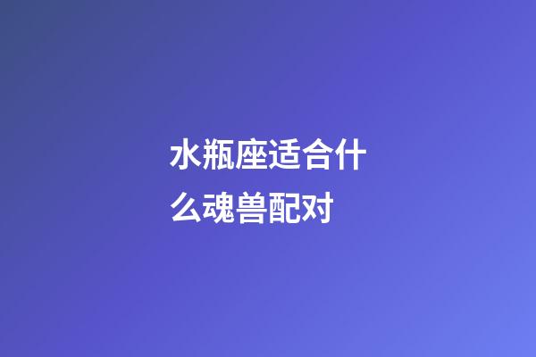 水瓶座适合什么魂兽配对-第1张-星座运势-玄机派