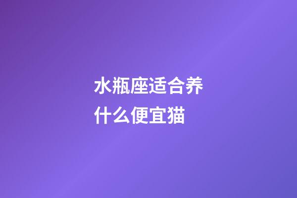 水瓶座适合养什么便宜猫-第1张-星座运势-玄机派