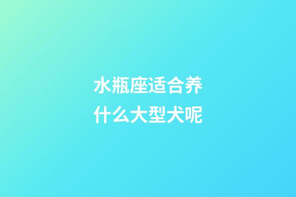 水瓶座适合养什么大型犬呢-第1张-星座运势-玄机派