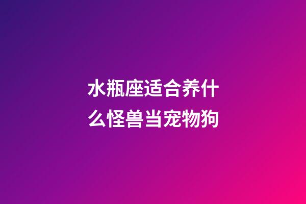 水瓶座适合养什么怪兽当宠物狗-第1张-星座运势-玄机派