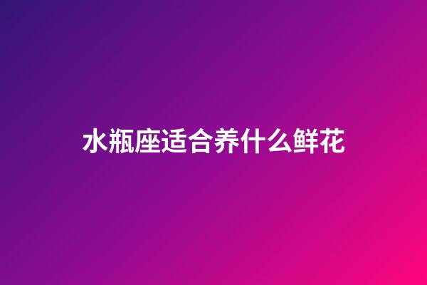 水瓶座适合养什么鲜花-第1张-星座运势-玄机派