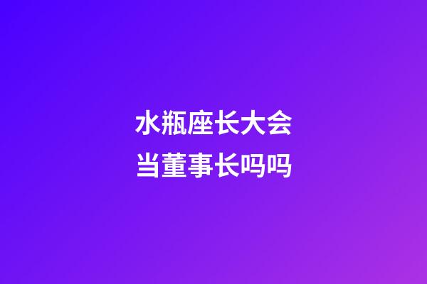 水瓶座长大会当董事长吗吗