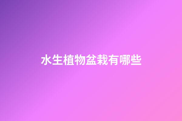 水生植物盆栽有哪些
