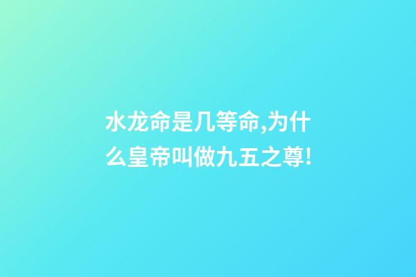水龙命是几等命,为什么皇帝叫做九五之尊!-第1张-观点-玄机派
