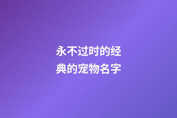 永不过时的经典的宠物名字