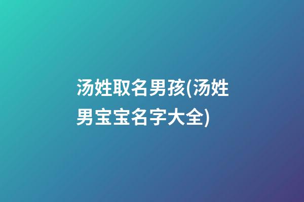汤姓取名男孩(汤姓男宝宝名字大全)