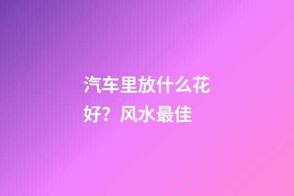 汽车里放什么花好？风水最佳