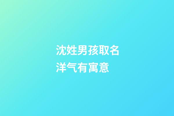 沈姓男孩取名洋气有寓意