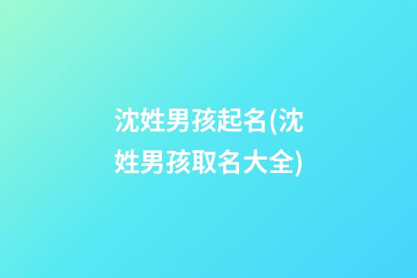 沈姓男孩起名(沈姓男孩取名大全)