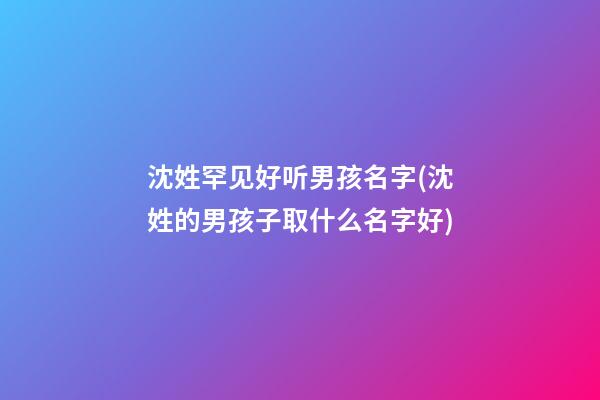 沈姓罕见好听男孩名字(沈姓的男孩子取什么名字好)