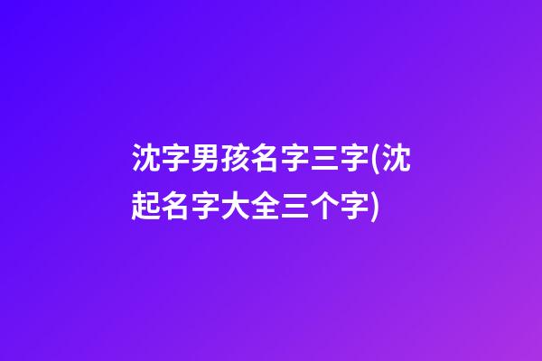 沈字男孩名字三字(沈起名字大全三个字)