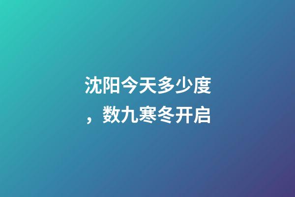 沈阳今天多少度，数九寒冬开启-第1张-观点-玄机派