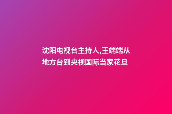沈阳电视台主持人,王端端从地方台到央视国际当家花旦-第1张-观点-玄机派