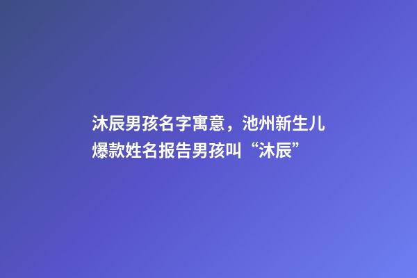 沐辰男孩名字寓意，池州新生儿爆款姓名报告男孩叫“沐辰”-第1张-观点-玄机派