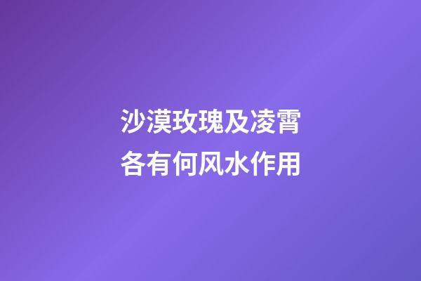 沙漠玫瑰及凌霄各有何风水作用?