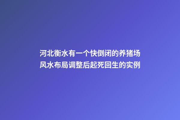 河北衡水有一个快倒闭的养猪场风水布局调整后起死回生的实例