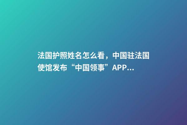 法国护照姓名怎么看，中国驻法国使馆发布“中国领事”APP使用指南及常见问题解答-第1张-观点-玄机派
