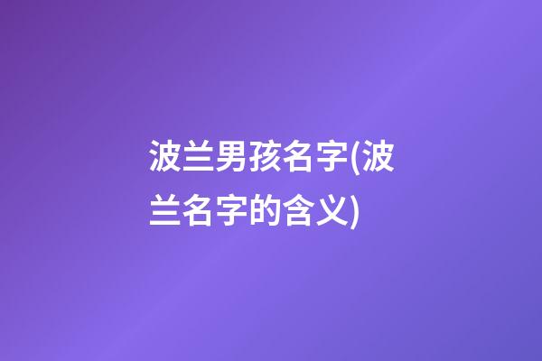 波兰男孩名字(波兰名字的含义)