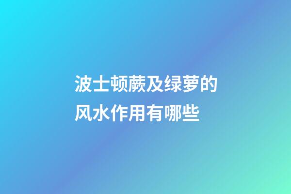 波士顿蕨及绿萝的风水作用有哪些?