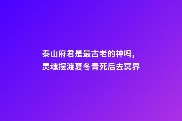 泰山府君是最古老的神吗,灵魂摆渡夏冬青死后去冥界-第1张-观点-玄机派