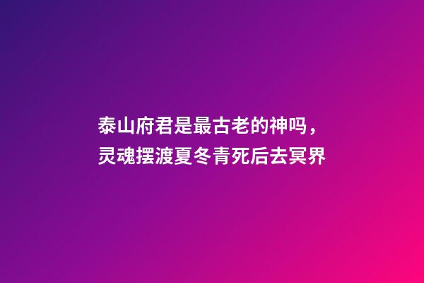 泰山府君是最古老的神吗，灵魂摆渡夏冬青死后去冥界-第1张-观点-玄机派