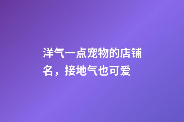 洋气一点宠物的店铺名，接地气也可爱