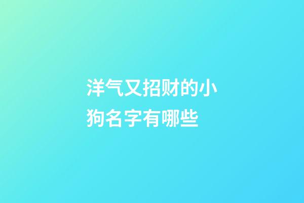 洋气又招财的小狗名字有哪些
