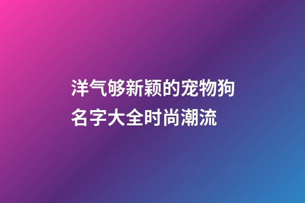 洋气够新颖的宠物狗名字大全时尚潮流