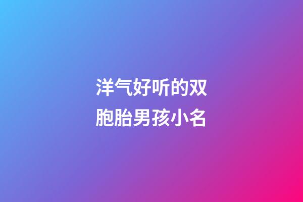 洋气好听的双胞胎男孩小名