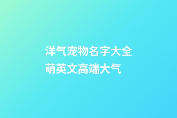 洋气宠物名字大全萌英文高端大气