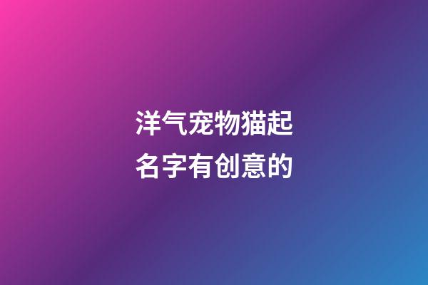 洋气宠物猫起名字有创意的