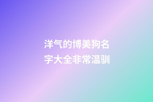 洋气的博美狗名字大全非常温驯