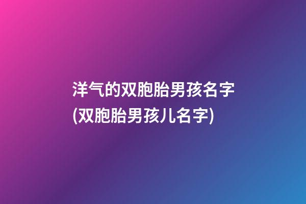 洋气的双胞胎男孩名字(双胞胎男孩儿名字)