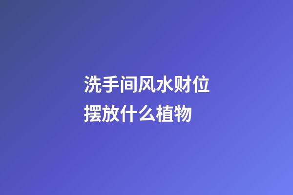 洗手间风水财位摆放什么植物
