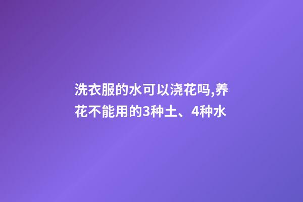 洗衣服的水可以浇花吗,养花不能用的3种土、4种水-第1张-观点-玄机派