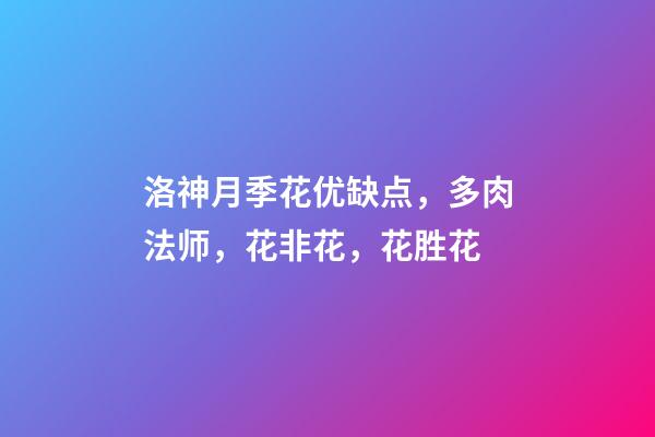 洛神月季花优缺点，多肉法师，花非花，花胜花-第1张-观点-玄机派