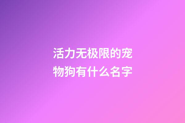 活力无极限的宠物狗有什么名字