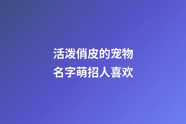 活泼俏皮的宠物名字萌招人喜欢