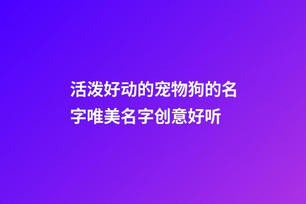 活泼好动的宠物狗的名字唯美名字创意好听