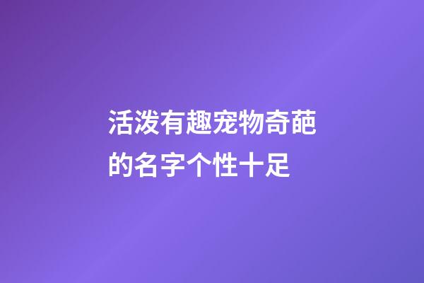 活泼有趣宠物奇葩的名字个性十足