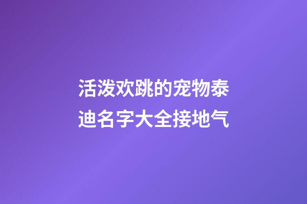 活泼欢跳的宠物泰迪名字大全接地气